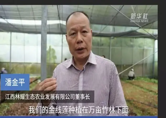 Jiangxi Linyao Ecological Agriculture Development Co., Ltd.-nin sədri Pan Jinping, Sinxua Xəbər Agentliyinə müsahibə verib.